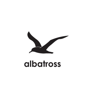 vector logo bird