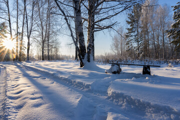 Wooden bench for relaxing on walks in the winter forest. Russia, Ural.