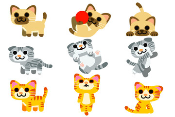 Obraz premium character meow cat animal pet