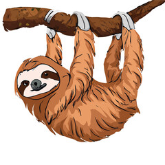 Lazy Sloth Slow and steady wins the race… Take your time. Motivation for procrastination… © N1L3SH