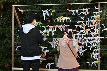Playing 'Omikuji' at a Japanese shrine. Omikuji is a written fortune-telling about the person's near future on a slip of paper.