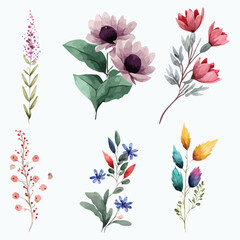 Set of ornamental floral design elements