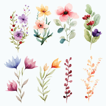 Set of ornamental floral design elements