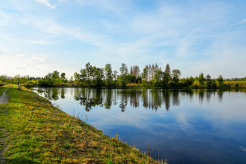 Nature at the Oberer Nassenwieser Teich in the Harz Mountains. View of the pond with the...