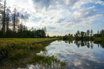 Fototapeta premium Nature at the Oberer Nassenwieser Teich in the Harz Mountains. View of the pond with the surrounding landscape. 