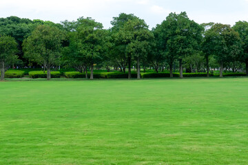 Trees with large courtyards and green lawns.