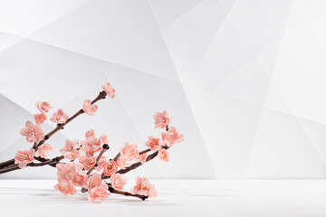 Cute sakura cherry flowers on branch with modern geometric abstract backdrop as wall with lines, corners, copy space. Traditional asian festive flowers and simple urban interior style for design.