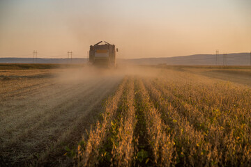 Fototapeta premium The agricultural life, a farmer in a combine harvester at work in a soybean field