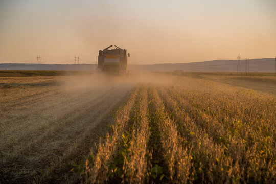 The agricultural life, a farmer in a combine harvester at work in a soybean field