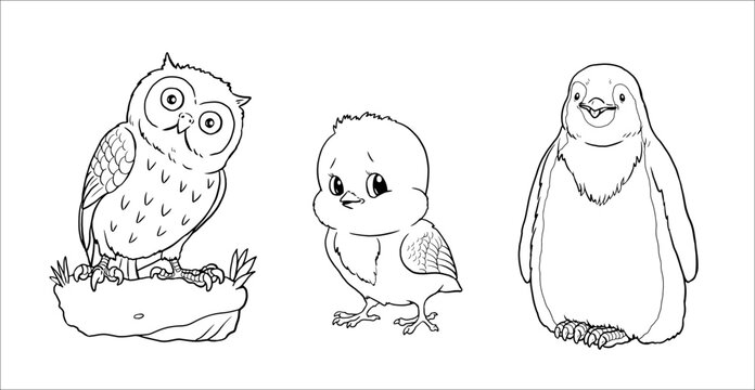 Cute owl, chick and penguin for coloring. Vector template for a coloring book with funny animals. Coloring template for kids.