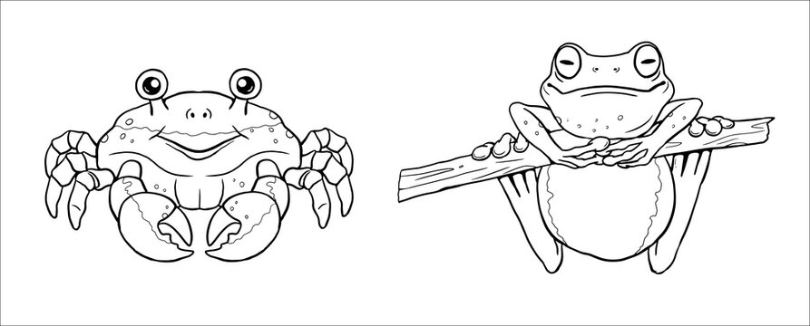 Cute crabbe and tree frog to color in. Vector template for a coloring book with funny animals. Coloring template for kids.
