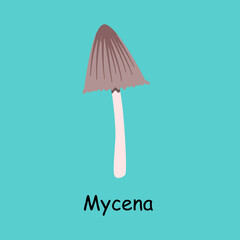 A flat vector of a poisonous toadstool mushroom isolated on a blue background.