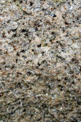 biotite granite stone with visible details