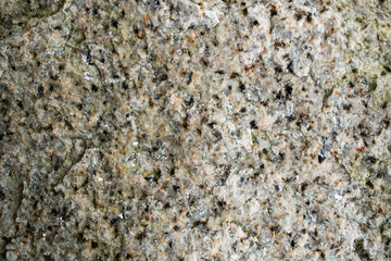 biotite granite stone with visible details