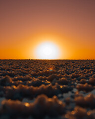 Obraz premium Beautiful view of pink salt lake in Kherson region, Ukraine, Europe. Bright wallpapers. Scenic photography of nature. Amazing seascape. Wooden poles in the water of a pink lake