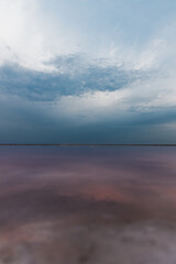 Beautiful view of pink salt lake in Kherson region, Ukraine, Europe. Bright wallpapers. Scenic photography of nature. Amazing seascape. Wooden poles in the water of a pink lake