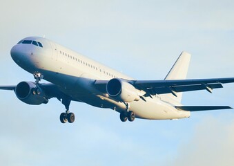 Fototapeta na wymiar Airliner Airbus 320