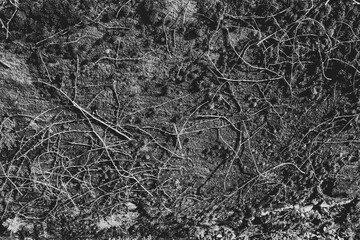 black and white background