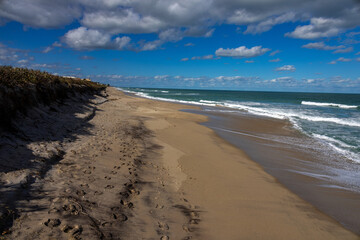 Sunny day after passing winter storm at Bonsteel park Sebastian Florida