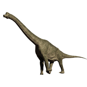 dinosaur brachiosaurus 3d render