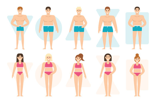 Female body types set concept without people scene in the flat cartoon design. Images of different types of male and female figures. Vector illustration.