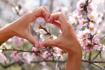 female hands in the form of a heart on a background of pink spring flowers, spring is approaching and Valentine's Day