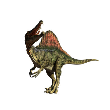 dinosaur spinosaurus 3d render