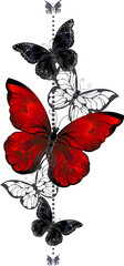 Red and Black Butterflies