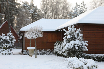 Winter landscape with wooden houses and trees in morning