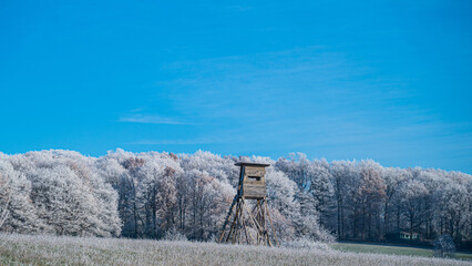 Hochstand im Winter