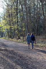 Fototapeta premium walking in the woods