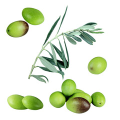 Fresh organic green olives. Set of olive fruits and olive branch with leaves isolated on white background.