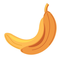 Tropical fruits and food, banana in peel vector