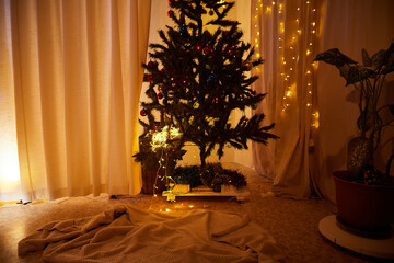 Interior with decorated cristmas tree in cozy room. Location for a photo shoot in the studio