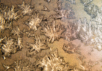 Frost patterns on a window in sunny winter day (gold background, backlight)