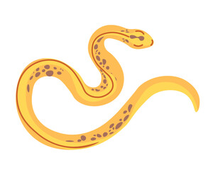 Tropical reptiles and serpents, yellow snakes
