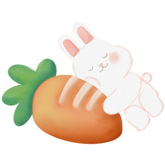 Rabbit with carrot