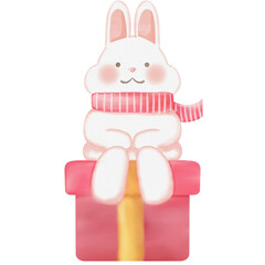 Rabbit on the gift box