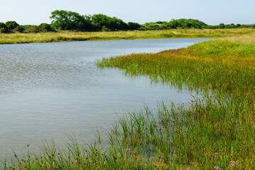 The bay of the river Somme