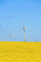 Wind turbine in a rapeseed field on a sunny summer day