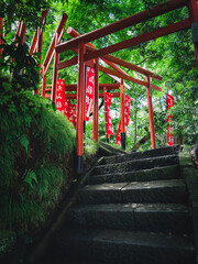Fototapeta na wymiar 神社 