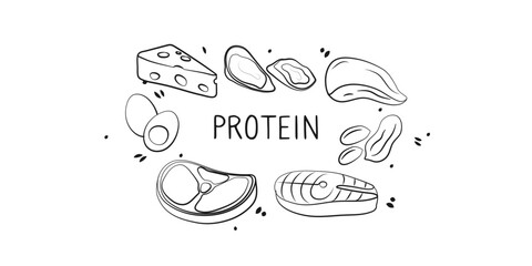 Protein-containing food. Groups of healthy products containing vitamins and minerals. Set of fruits, vegetables, meats, fish and dairy.