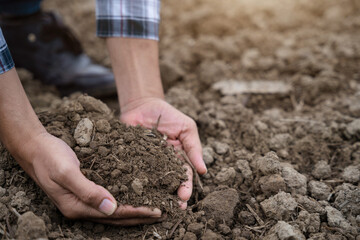 Soil in the hands of farmers. Concept of agriculture.