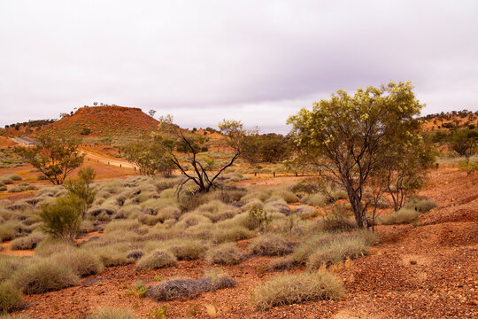 Red earth hill with spinifex grass near Winton in outback Queensland, Australia.