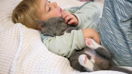 Portrait of Funny Little Boy Cuddling Gray Kitten Lying in a Bed. Pet and Children Concept. Young Cat and Happy Smiling Kid Sleeping Together at Home. Kitty Lovely Resting. Love to Animals. Close Up