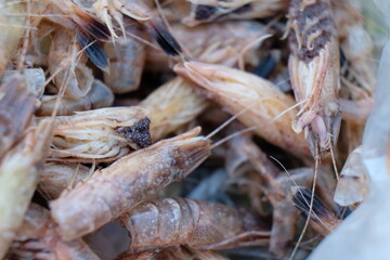 FU 2020-08-12 Fries T3 233 Auf einem Haufen liegen gekochte Nordseekrabben in Schale