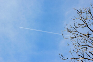 Airplane in the colorful sky, flying past branches and with long clouds trailing behind the airplane.