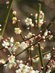 温もりのアンテナ