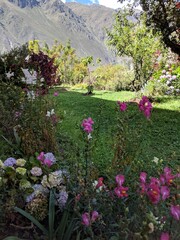 photos of nature and scenes from my travels