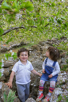 Cherry tree blossom in Jerte valley, Caceres, Extremadura, Spain